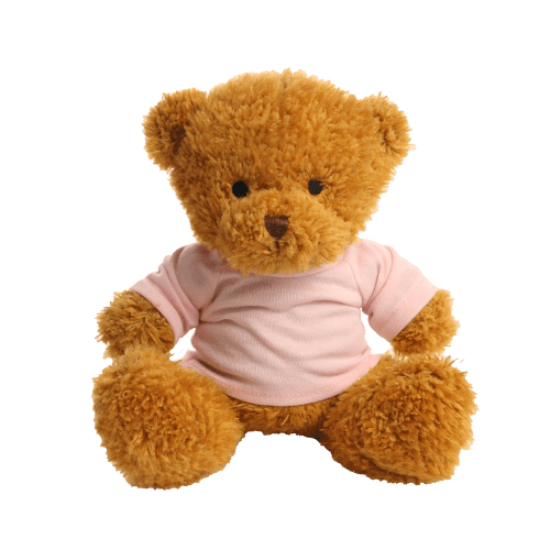 18cm James Teddy Bear in Pink