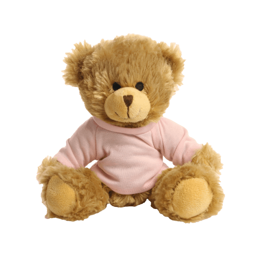 20cm Charles Teddy Bear in Pink