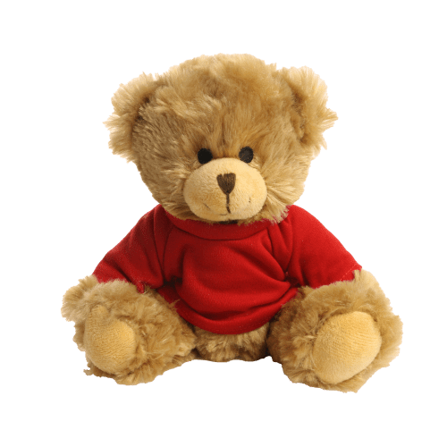 20cm Charles Teddy Bear in Red