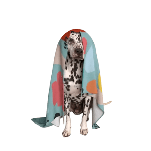 Logo Branded Pet Fleece Blanket With A Fully Printed Design From Total Merchandise