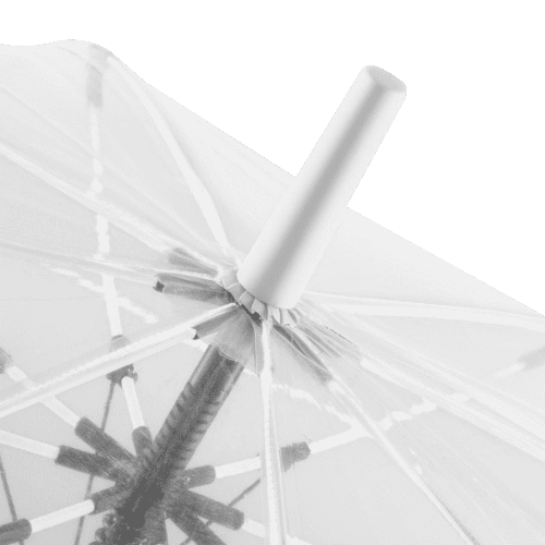 Transparent Umbrella