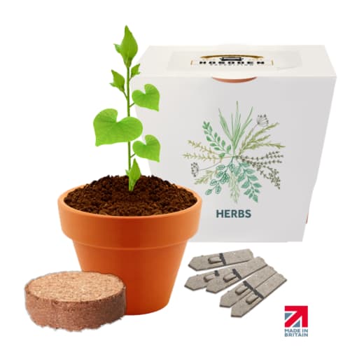 Promotional Essentials Clay Pot Gardens with Mixed Herb seeds from Total Merchandise