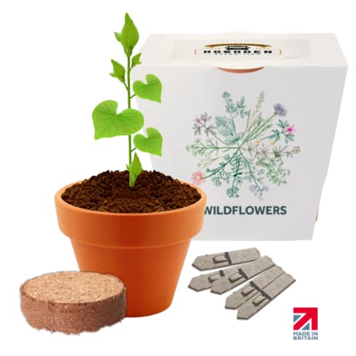 Customisable Essentials Clay Pot Gardens with Wildflower seeds from Total Merchandise