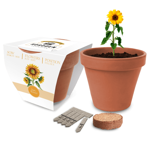 Essentials Clay Pot Gardens
