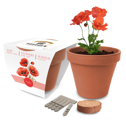 Essentials Clay Pot Gardens