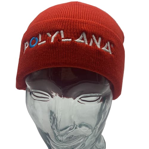 Eco Efficient Polylana Beanie