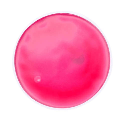 Logo-printed Heat Pack in Fuchsia from Total Merchandise