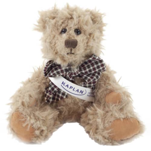 Promotional 20cm Windsor Teddy Bear with sash from Total Merchandise