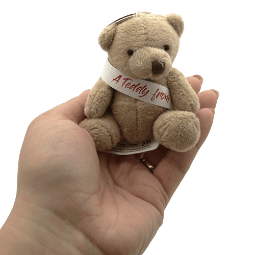 8cm Tubby Bear Keyrings with Sash