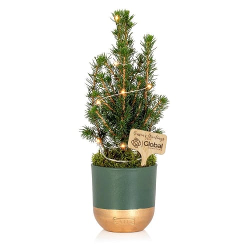 Promotional Mini Christmas Trees that come with an engraved bamboo marker of your company logo