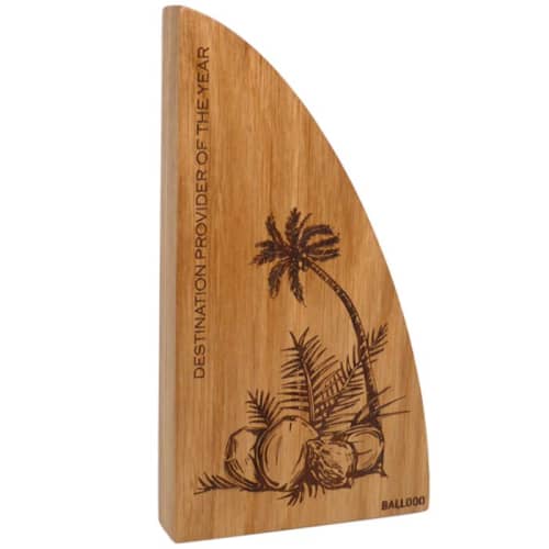 Branded Sail Shaped Real wood Block Awards with a design from Total Merchandise - Oak