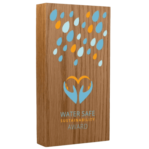Oblong Shaped Real Wood Block Award in Oak