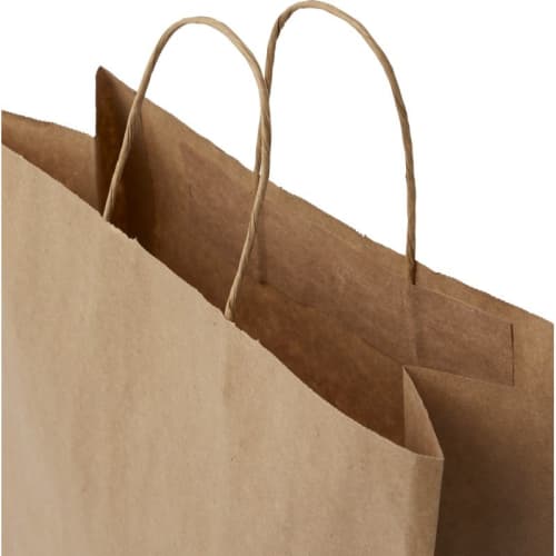 Custom branded Large Kraft Paper Bag with Twisted Handles in Kraft Brown from Total Merchandise