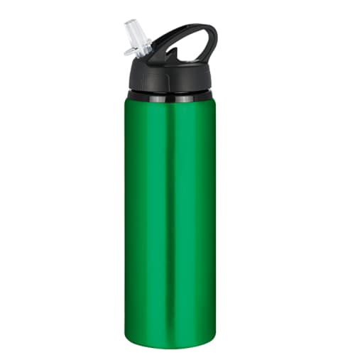 Tide Metal Water Bottle with Flip Cap in Green