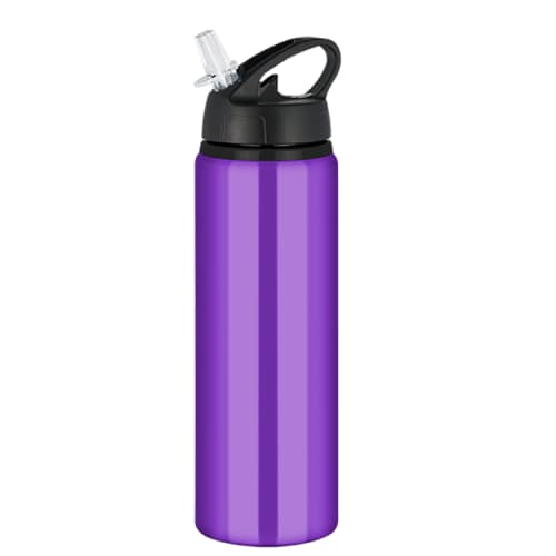 Tide Metal Water Bottle with Flip Cap in Purple