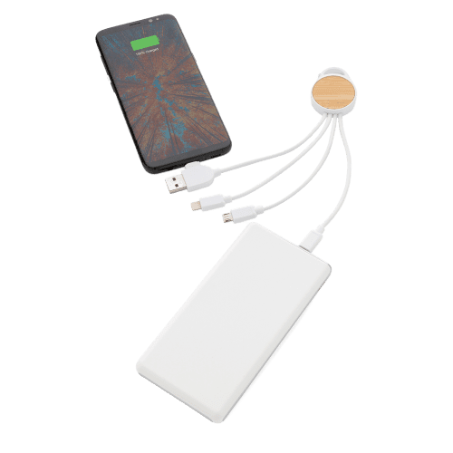 Printed Ontario 6-in-1 Eco Charging Cables Plugged into a Powerbank and Phone by Total Merchandise