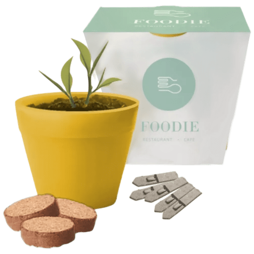 Promotional printed Bamboo Pot Garden with a full colour design from Total Merchandise