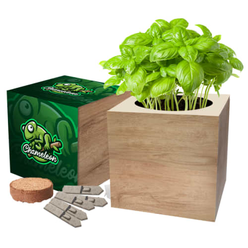 Custom Branded Essentials Desktop Cube Garden with a printed design from Total Merchandise