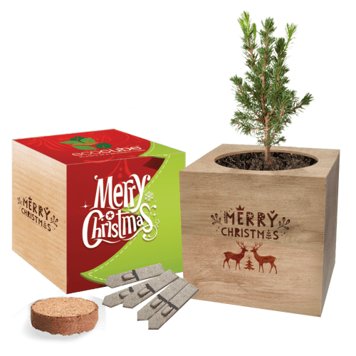 Desktop Cube Gardens