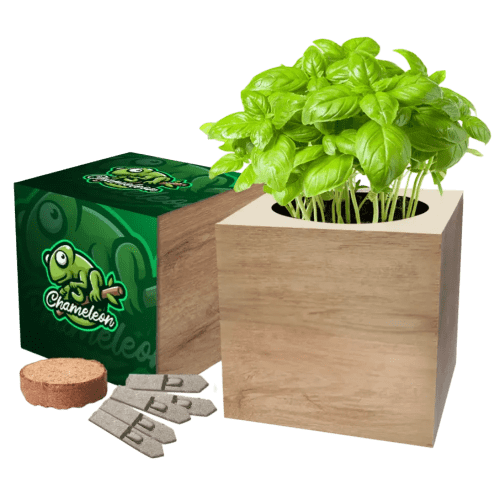 Custom Branded Essentials Desktop Cube Garden with a printed design from Total Merchandise