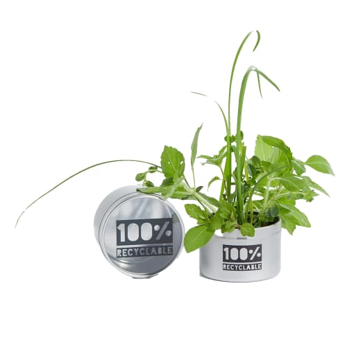 Promotional Mini Greenhouse printed with your company logo in full colour from Total Merchandise