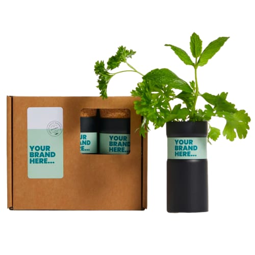 Promotional Box of Three Desktop Gardens in Matt Black printed with your company logo