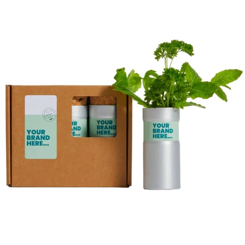 Custom Branded Box of Three Desktop Gardens in Silver printed with your company logo