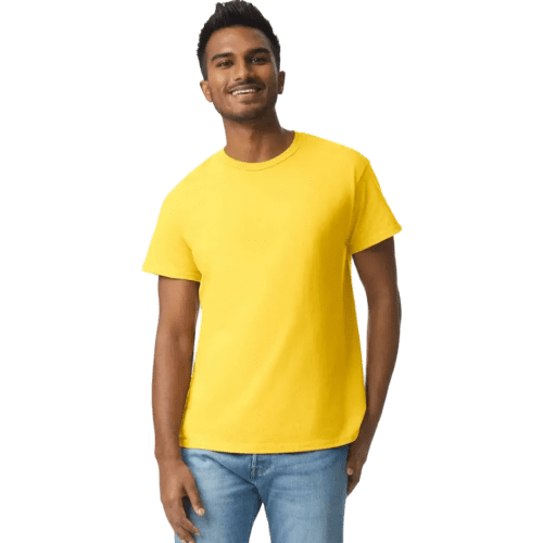 Gildan Heavyweight Ultra Cotton Coloured T-Shirt in Daisy