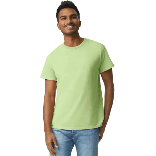 Gildan Heavyweight Ultra Cotton Coloured T-Shirt in Pistachio
