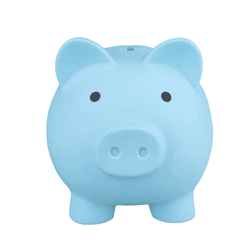 Premium Piggy Bank