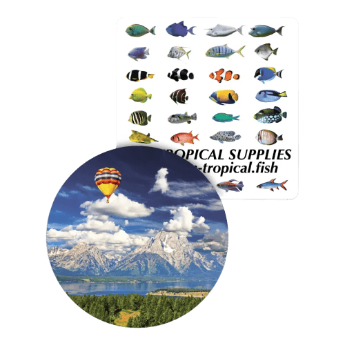 Gnalvic Non-Slip Coasters
