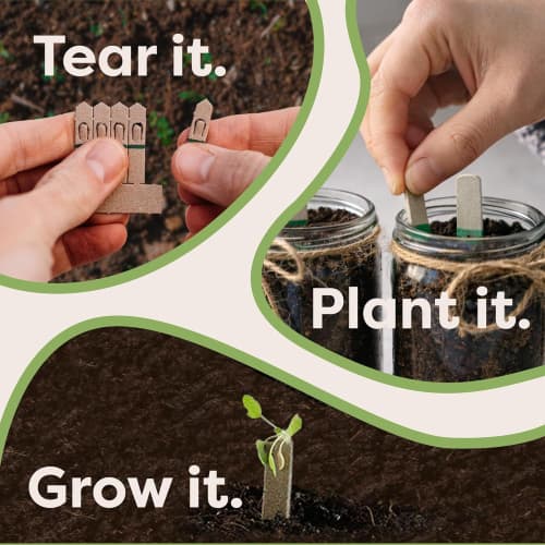 Image showing how to plant the seedsticks by Total Merchandise