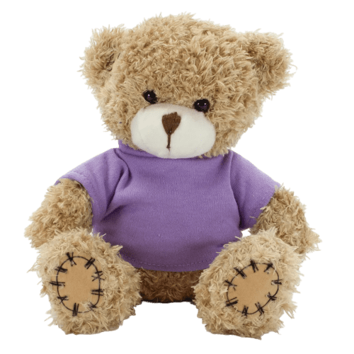 18cm Paw Teddy Bears with a T-Shirt in Mocha/Lilac
