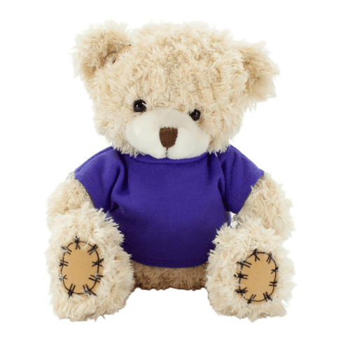 18cm Paw Teddy Bears with a T-Shirt in Cappuccino/Purple