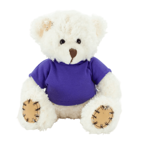 18cm Paw Teddy Bears with a T-Shirt in Latte/Purple