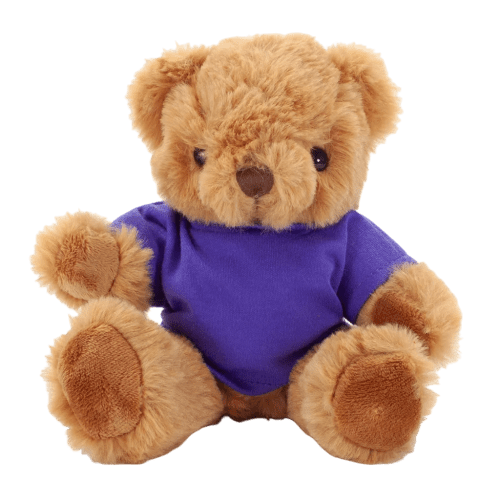 Fully Recycled 20cm Jasper Bear with T-Shirt in Purple