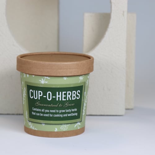 Grow Your Own Herb Kit