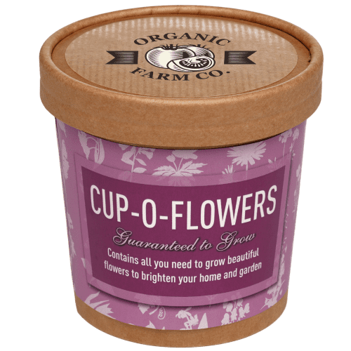 Promotional Grow Your Own Flower Kit in Brown with a design from Total Merchandise