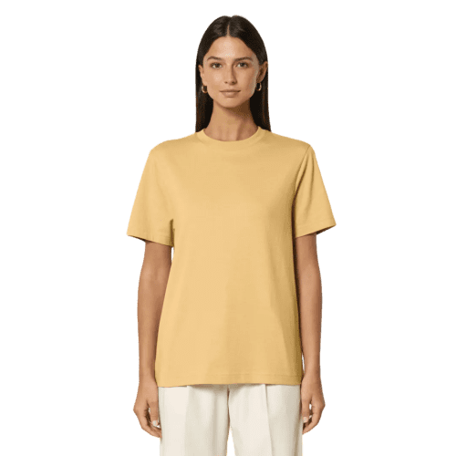 Coloured Stanley Stella Sparker Unisex Relaxed T-Shirt in Nispero