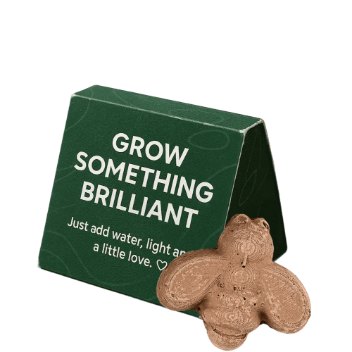 Promotional printed Mini Shaped Seed Bomb Box with a design from Total Merchandise