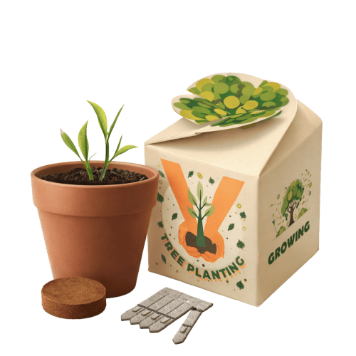 Customisable Flower Pot Gardens in White branded with your company logo from Total Merchandise