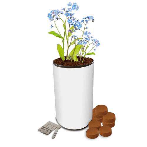 Branded Seed tin Gardens with a full colour design from Total Merchandise