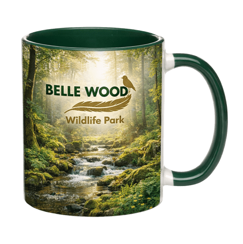 Cambridge Dual Colour Mugs in Green