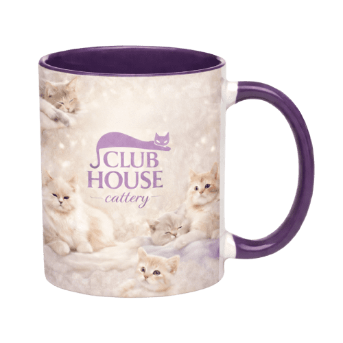 Cambridge Dual Colour Mugs in Purple