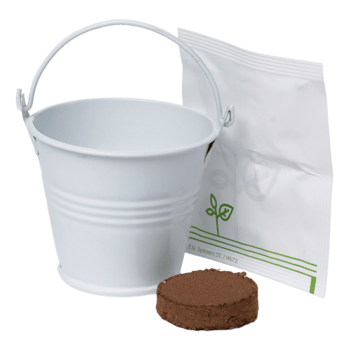 Mini Bucket Herb Grow Kit in White