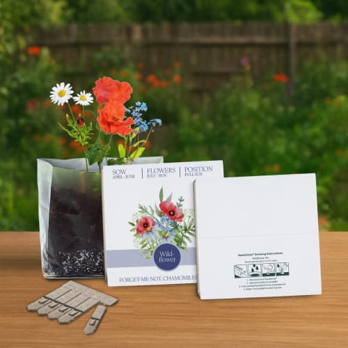 Lifestyle image of the Essentials Letterbox Gardens in White branded with your company logo