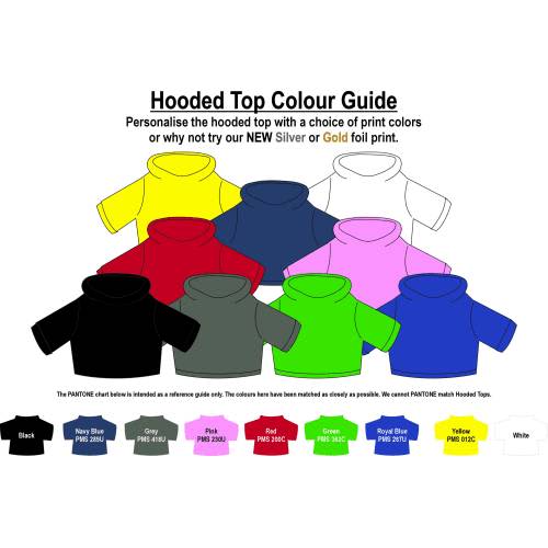 18cm Paw Teddy Bear with Hoodie