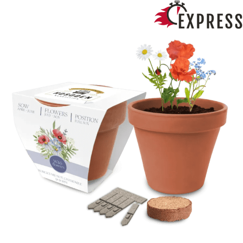 Custom Branded Super Express Essentials Clay Pot Gardens in White from Total Merchandise