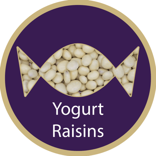 Screw Top Sweet Pots filled with Yogurt Raisins