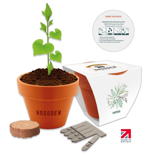 Promotional Essentials Clay Pot Gardens with Mixed Herb seeds from Total Merchandise